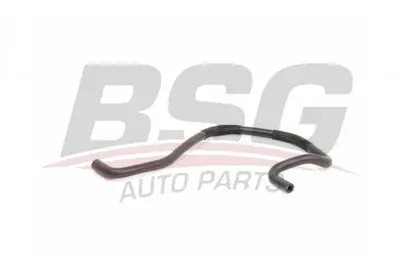 bsg-65-720-170-radyator-yedek-su-depo-hortumu