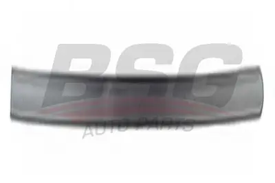 bsg-65-924-017-kapi-bandi-on-sag