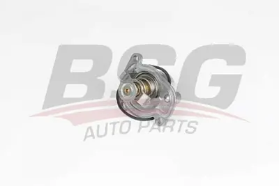 bsg-65-125-014-termostat