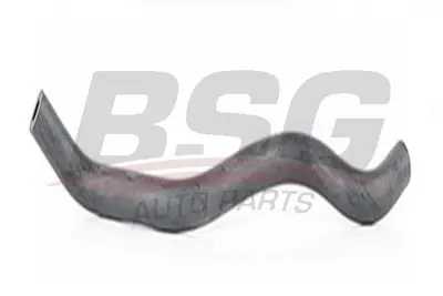 bsg-65-720-142-termostat-hortumu