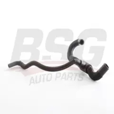 bsg-65-700-545-isi-esanjor-hortumu