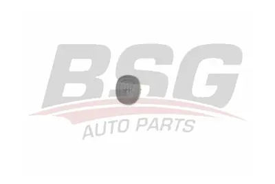 bsg-65-465-008-vites-topuzu