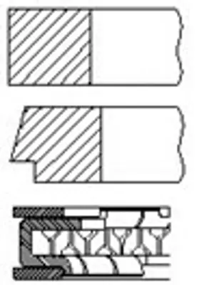 federal-06-12560050-segman