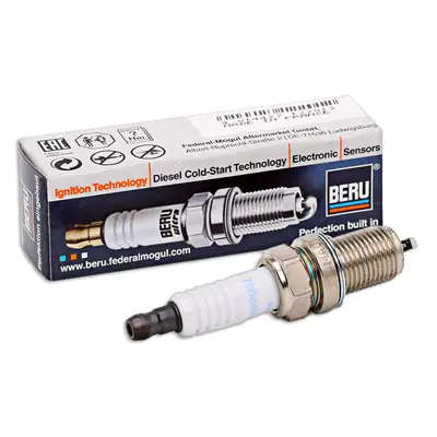 beru-z206-buji