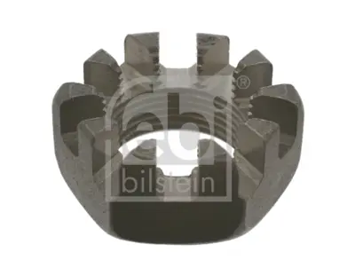 gm-8967950-on-porya-somunu