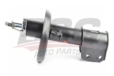 bsg-65-300-024-amortisor-on-sol