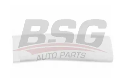 bsg-65-925-009-kapi-bandi-arka-sol