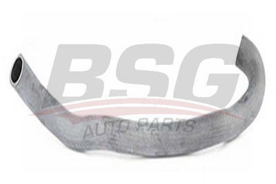 bsg-65-720-103-radyator-hortumu-ust