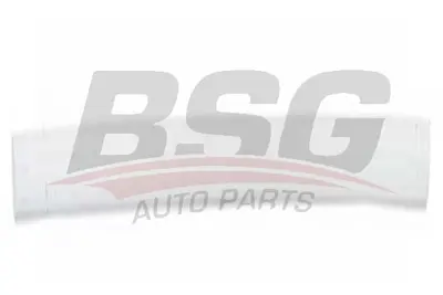 bsg-65-925-002-kapi-bandi-on-sag