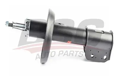 bsg-65-300-025-amortisor-on-sag