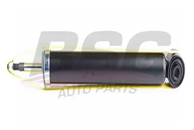 bsg-65-300-036-amortisor-arka-sag