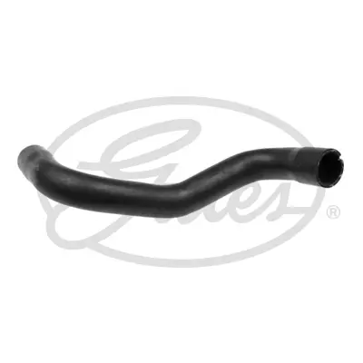 gm-13344211-su-bagl-rakoru