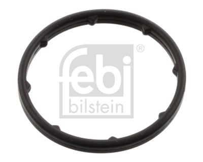 gm-24445723-oring