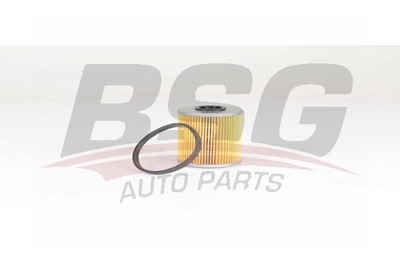bsg-65-130-010-yakit-filtresi