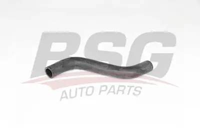 bsg-16-720-025-radyator-hortumu-ust
