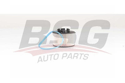 bsg-65-130-011-yakit-filtresi