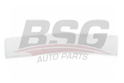 bsg-65-925-029-kapi-bandi-on-sol