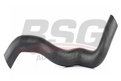 bsg-65-720-154-radyator-hortumu-ust