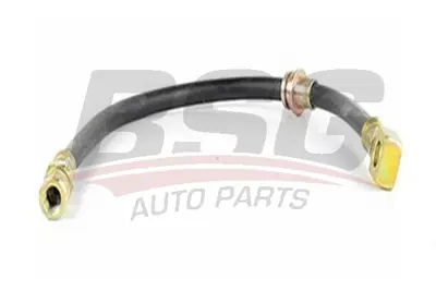 bsg-65-730-021-fren-hortumu-on