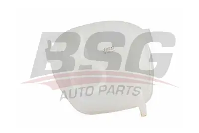 bsg-65-550-007-radyator-yedek-su-deposu