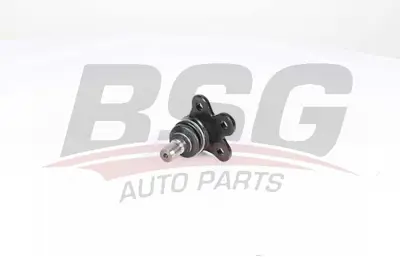 bsg-65-310-087-rotil-alt