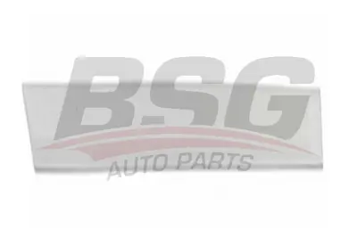 bsg-65-924-004-kapi-bandi-arka-sag