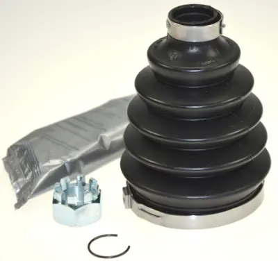 gkn-304392-aks-korugu-dis