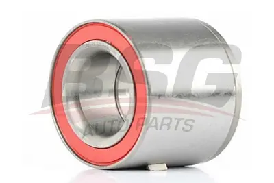 bsg-65-605-005-teker-rulmani-on