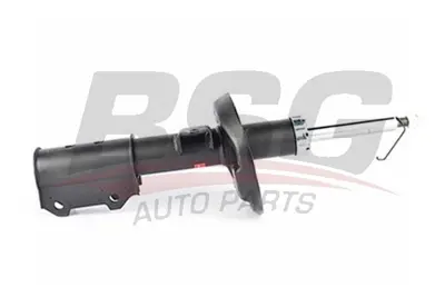 bsg-65-300-035-amortisor-on-sag