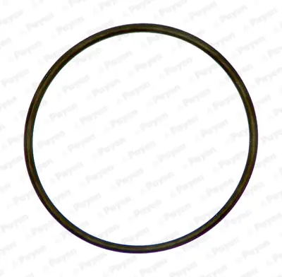 psa-120696-termostat-kapak-contasi