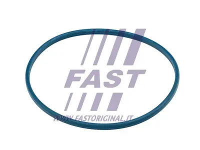 psa-153139-mazot-pompa-somun-contasi