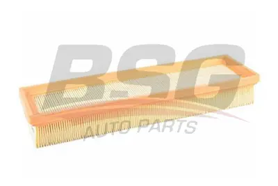 bsg-70-135-008-hava-filtresi