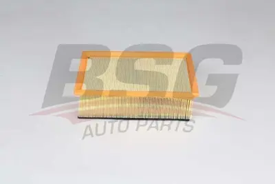 bsg-70-135-022-hava-filtresi