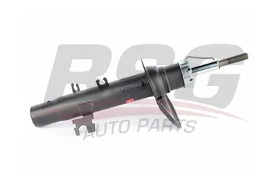 bsg-70-300-014-amortisor-on-sag