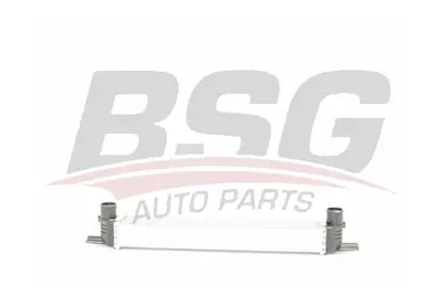 bsg-70-535-002-turbo-radyatoru