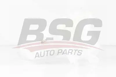 bsg-70-550-011-radyator-yedek-su-deposu