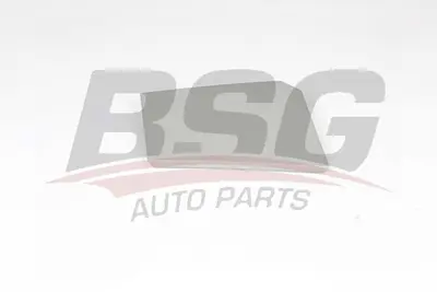 bsg-70-971-001-yakit-depo-kapagi-dis