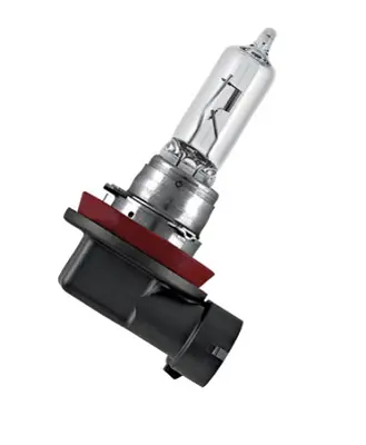 osram-64213-ampul