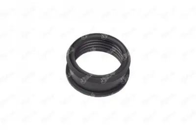 psa-9826775080-oring