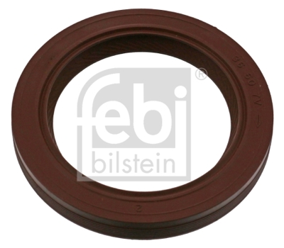psa-023644-eksantrik-kecesi