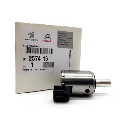 psa-257416-elektrovana