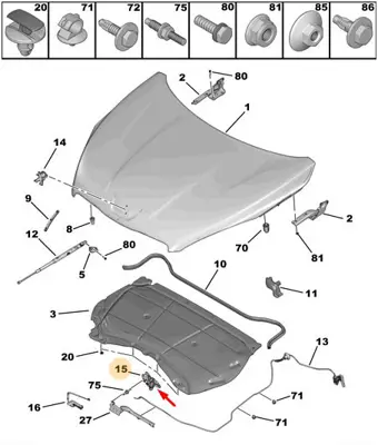 psa-7934g2-kaput-kilidi