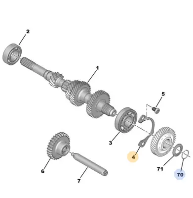 psa-231894-prizdirek-rulman-segmani