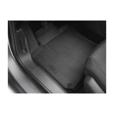psa-1609853080-kaucuk-paspas-tk