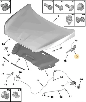 psa-9677784880-motor-kaput-mentesesi-sol