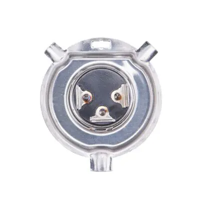 bosch-1987301010-ampul