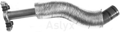 psa-038133-turyagdonbor