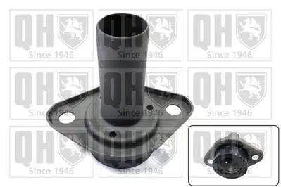 psa-210542-prizdirek-burcu