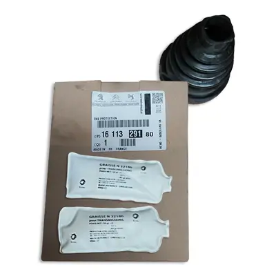 psa-1611329180-ic-aks-korugu