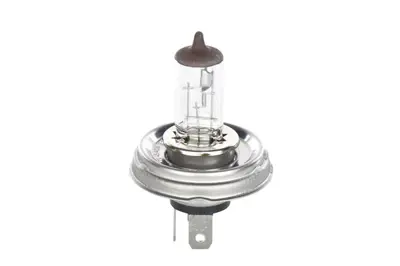 bosch-1987302021-far-ampuu